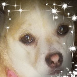 Meet your Posher, Sabrina